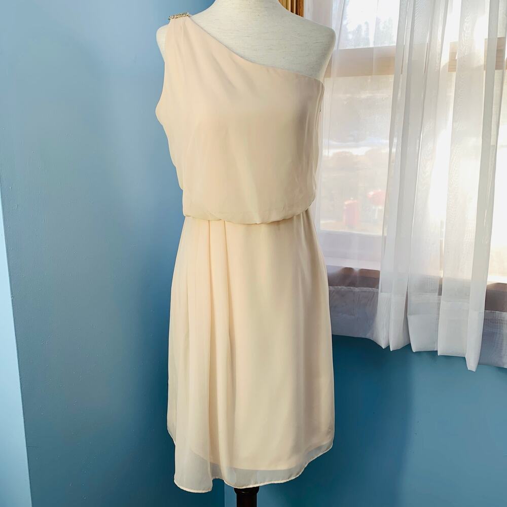 NWT Adrianna Papell Pink Blush One-Shoulder Chiffon Dress Size 4 - Picture 2 of 10